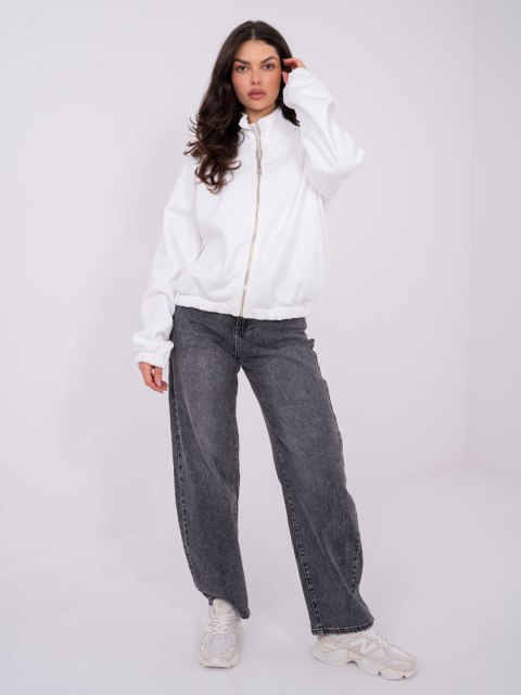 Bluza WT-BL-A1460.19P