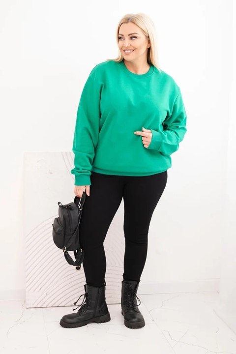 Bluza damska pętelkowa Plus Size bawełniana basic z okrągłym dekoltem jasno zielona